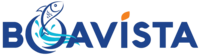 boavista.ci